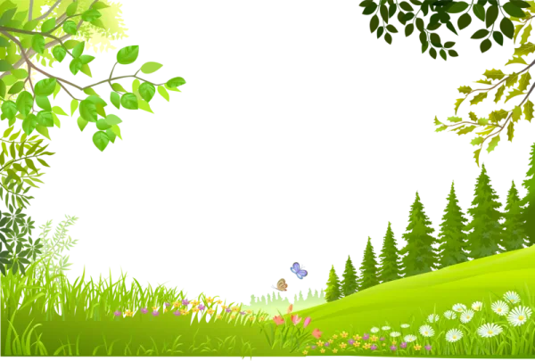 Lush Nature Frame with Green Trees and Butterflies PNG