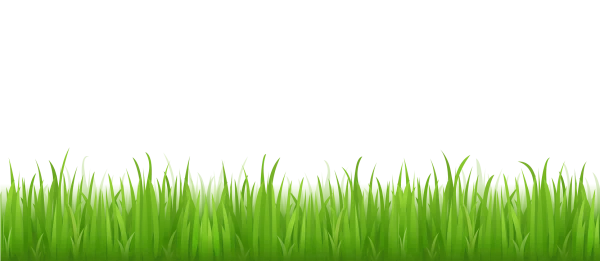 Green Grass Border PNG Transparent Background