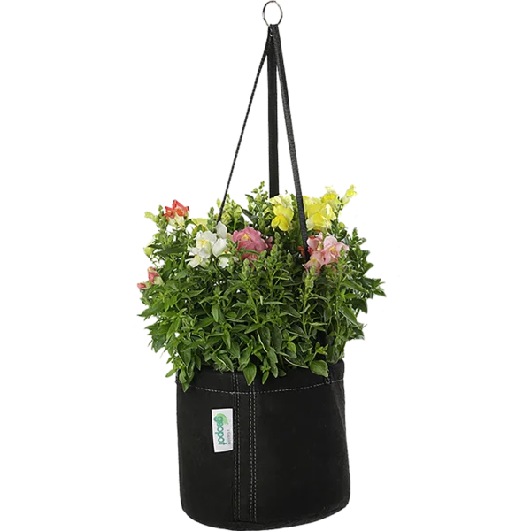 Hanging Flower Basket PNG Transparent Background