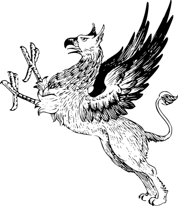 Blank Transparent PNG Background