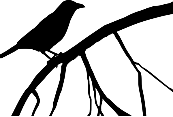 Minimalist White Graphic Elements PNG Transparent