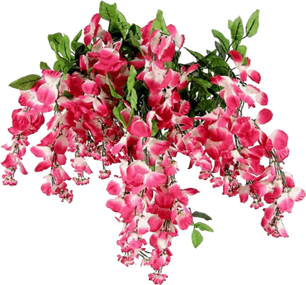 Pink Hanging Flowers PNG Transparent Background