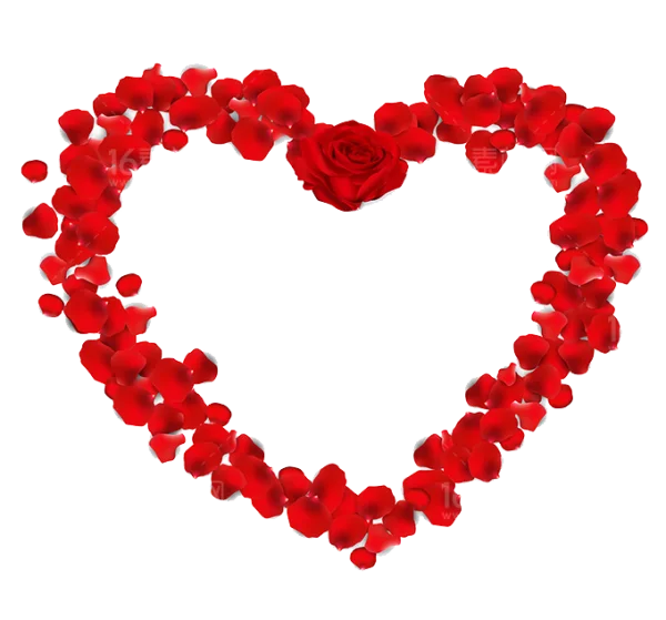 Red Rose Petal Heart with Rose PNG Transparent Background