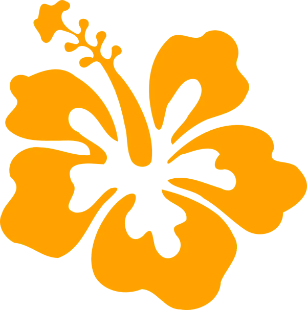 Orange Hibiscus Flower PNG Transparent Background