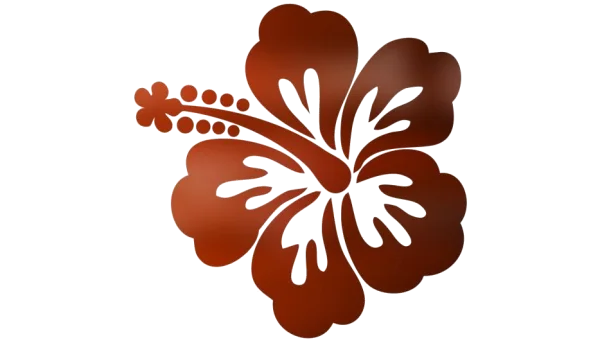 Brown Stylized Hibiscus Flower PNG Transparent