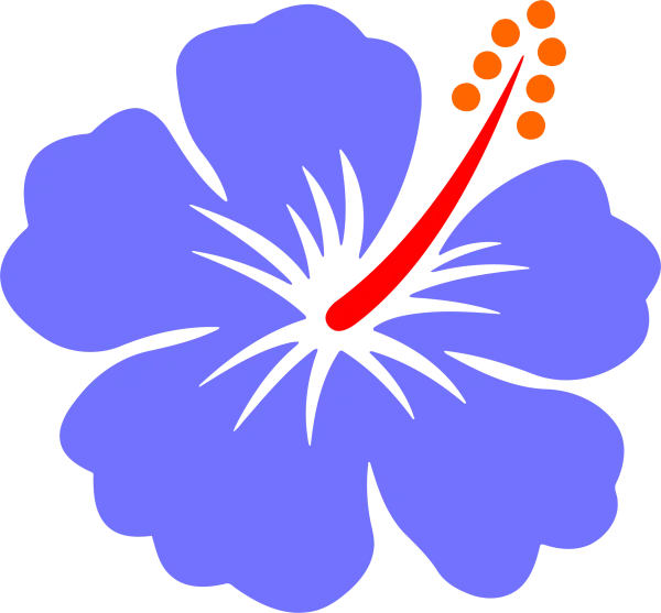 Blue Hibiscus Flower PNG Transparent Background