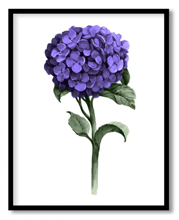 Purple Hydrangea Flower PNG Transparent Background