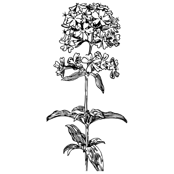 Black Solid Color PNG Background