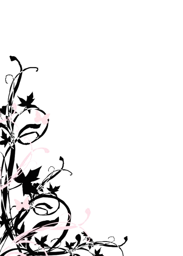 Pink and Black Floral Butterfly Corner Design PNG