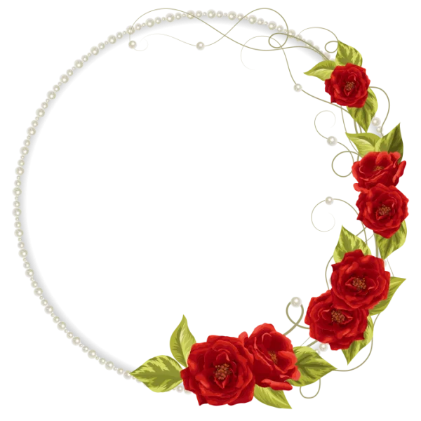 Pearl and Red Rose Floral Frame PNG Transparent Background