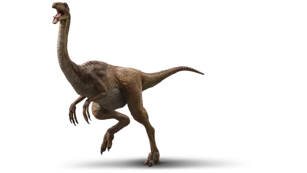 Gallimimus Dinosaur Transparent PNG