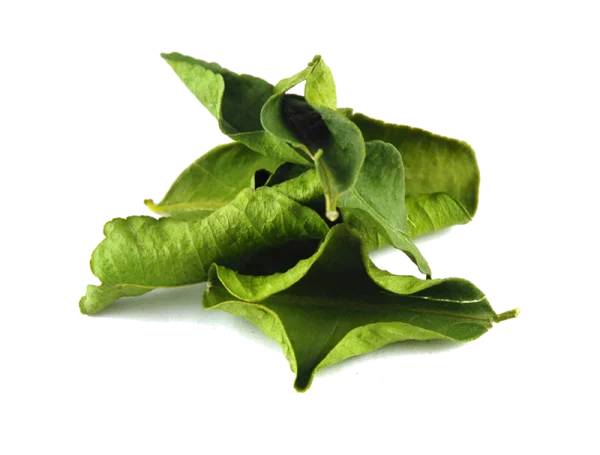 Dried Green Leaves PNG Transparent Background