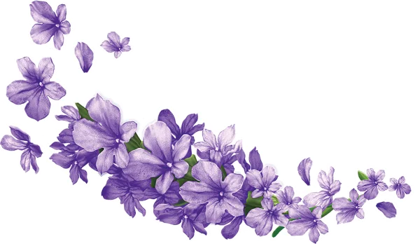 Elegant Purple Flowers Arrangement PNG