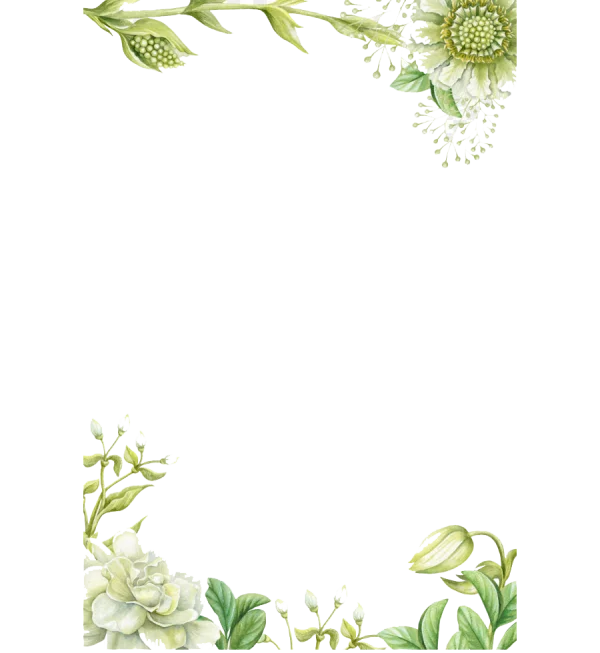 Watercolor Floral Corner Frame PNG Transparent