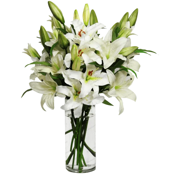 White Lilies in Glass Vase PNG Transparent Background