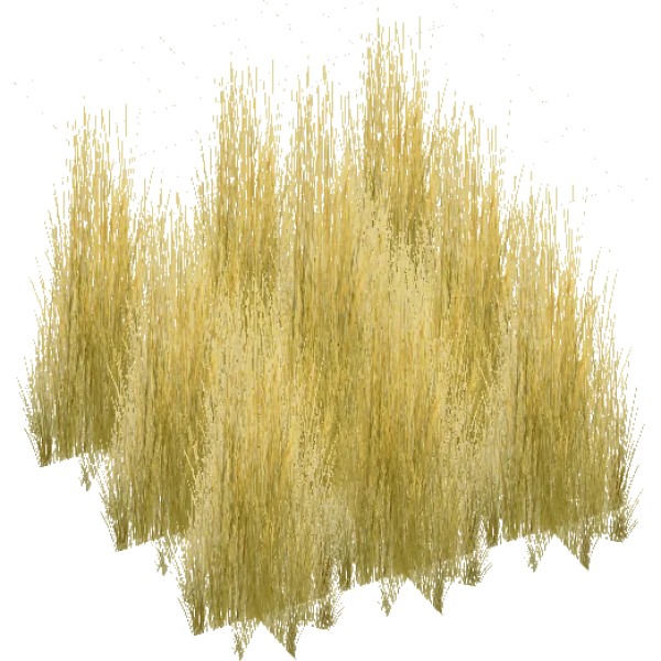 Dry Grass Clump Transparent PNG
