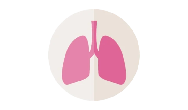 Pink Lungs Icon PNG Transparent Background