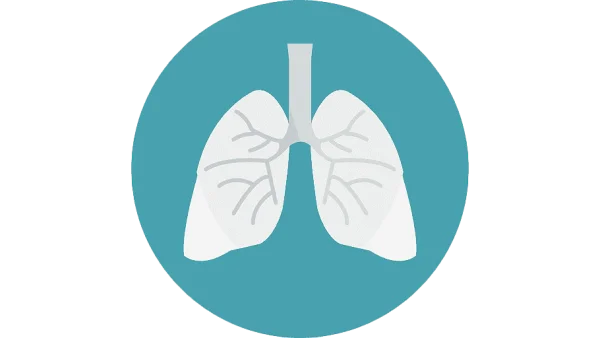 Human Lungs Medical Icon PNG