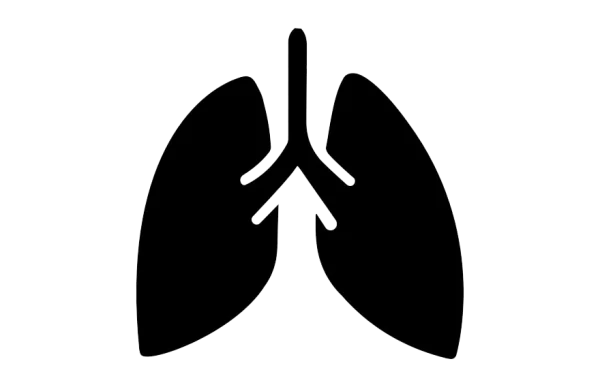 Lungs Outline Icon PNG Transparent Background