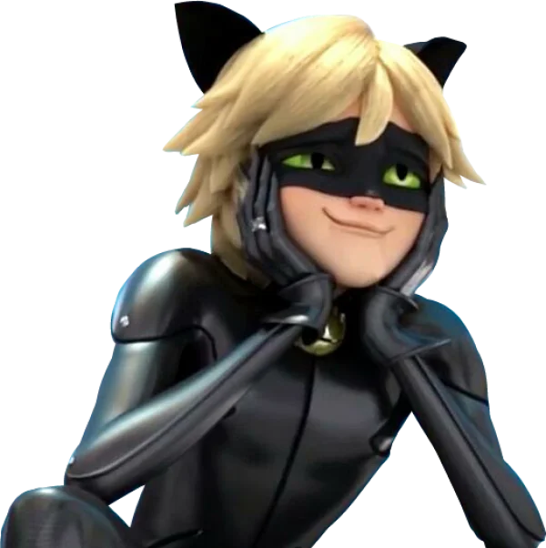 Cat Noir Smitten Look PNG Transparent Background