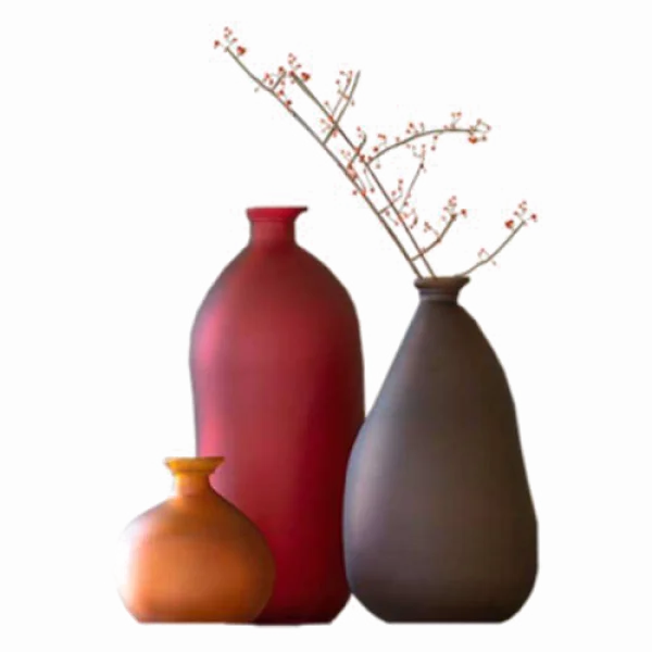 Modern Vases with Berries PNG Transparent