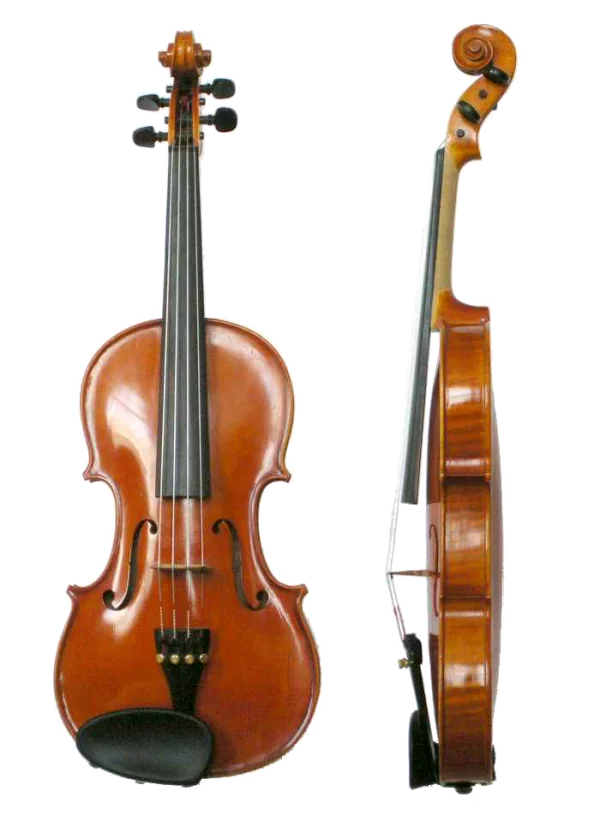 Classical Violin Front and Side View PNG Transparent Background
