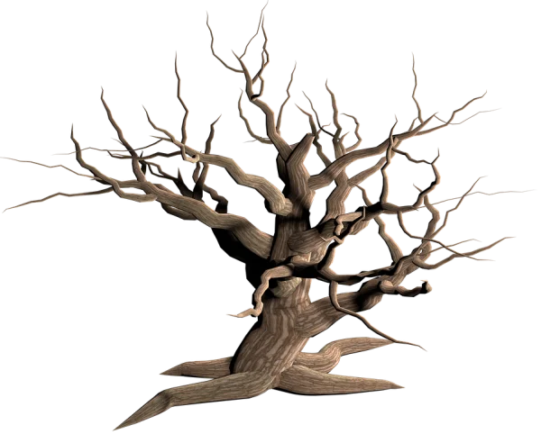 Creepy Dead Tree PNG Transparent Background