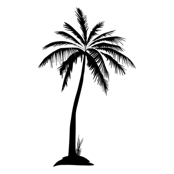 Blank Transparent PNG Placeholder