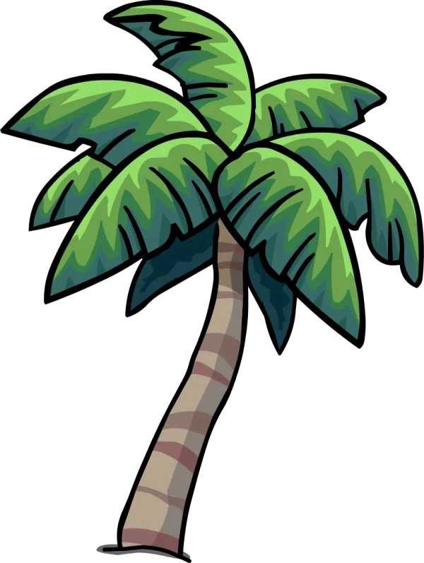 Cartoon Palm Tree PNG Transparent Background
