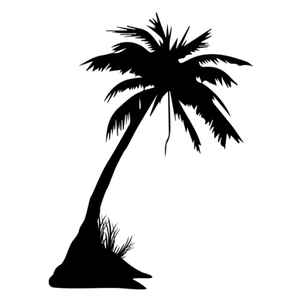 Blank Transparent PNG Background