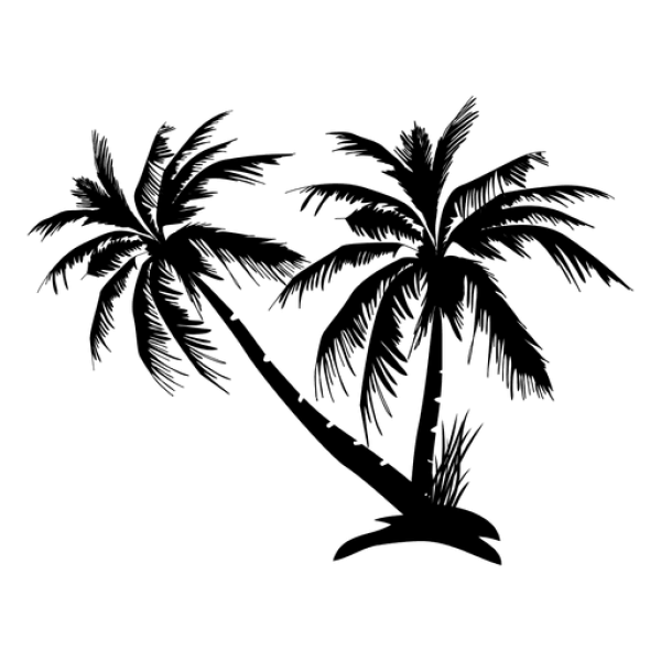 Fully Transparent Blank PNG