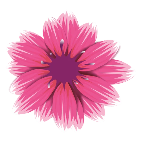 Vibrant Pink Flower Transparent PNG
