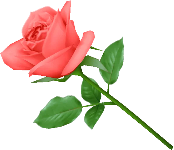 Red Rose with Green Stem Transparent PNG