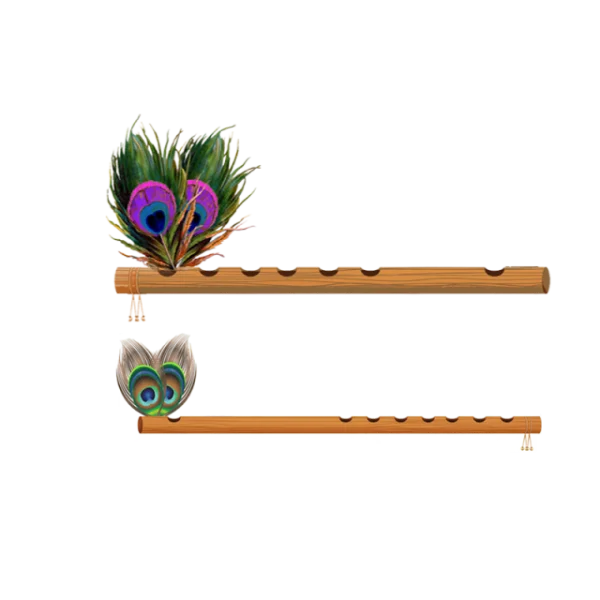 Peacock Feather Flute PNG Transparent Background