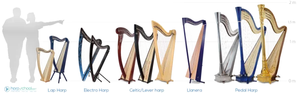 Different Types of Harps Size Comparison PNG Transparent Background