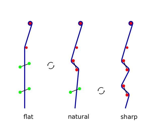 Blue Lines with Control Points Diagram PNG
