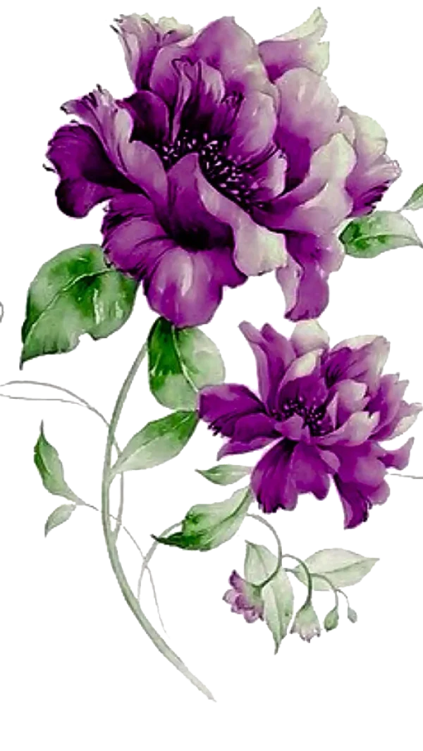 Vibrant Purple Watercolor Flowers PNG