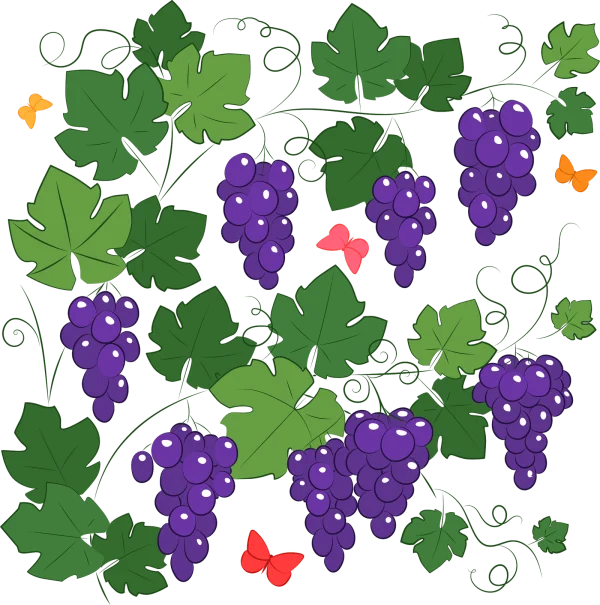 Illustrative Grapevine with Purple Grapes and Butterflies PNG