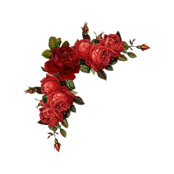 Red Rose Corner Bouquet PNG Transparent Background
