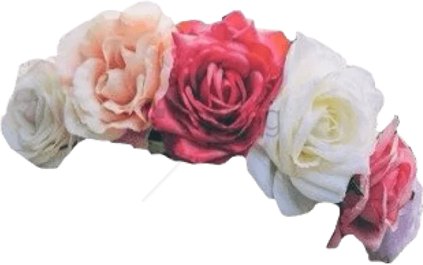 Mixed Roses Flower Crown PNG Transparent