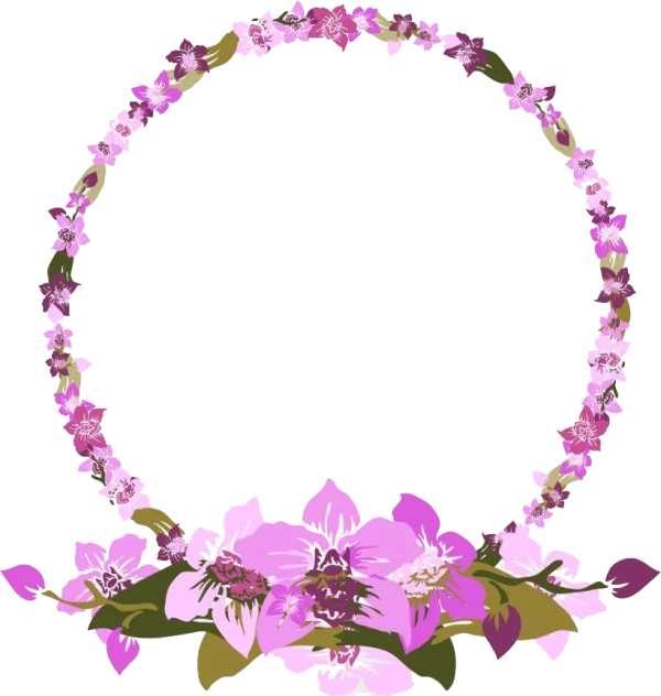 Pink Orchid Floral Circle Frame PNG Transparent