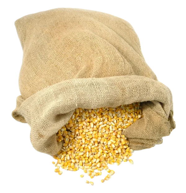 Burlap Sack with Spilled Corn Kernels PNG