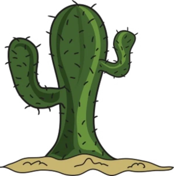 Cartoon Cactus PNG Transparent Background