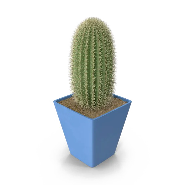 Cactus in Blue Pot PNG Transparent Background