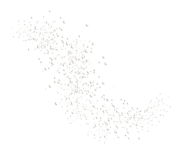 Scattered White Pearl Dust PNG Transparent