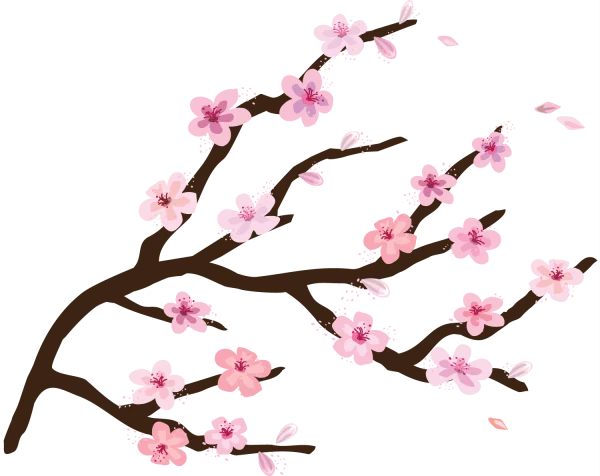 Cherry Blossom Branch PNG Transparent Background