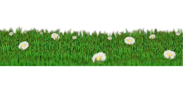 Green Grass with Daisies Border PNG
