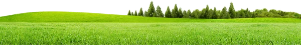 Vibrant Green Field and Forest PNG Transparent Background