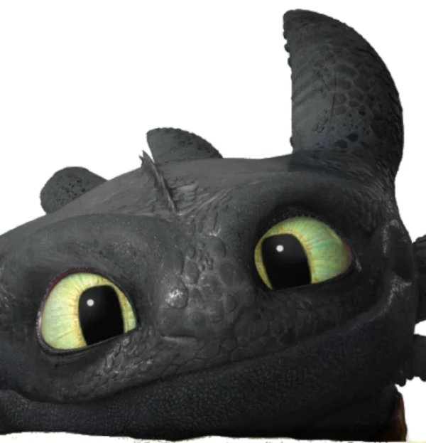 Toothless Dragon Cute Face PNG Transparent Background