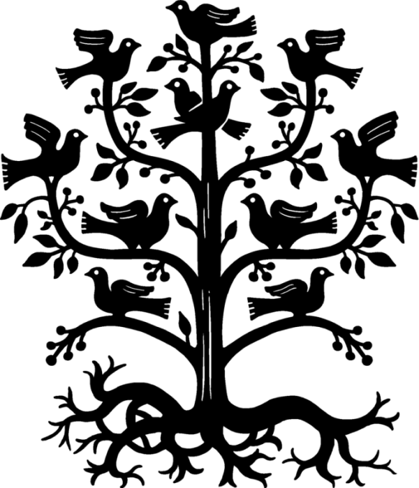 Fully Transparent PNG Background